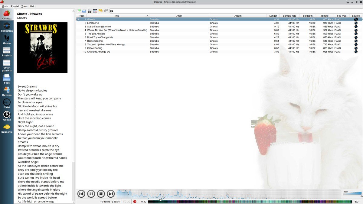 Strawberry music player with collection sidebar, playlist and album art