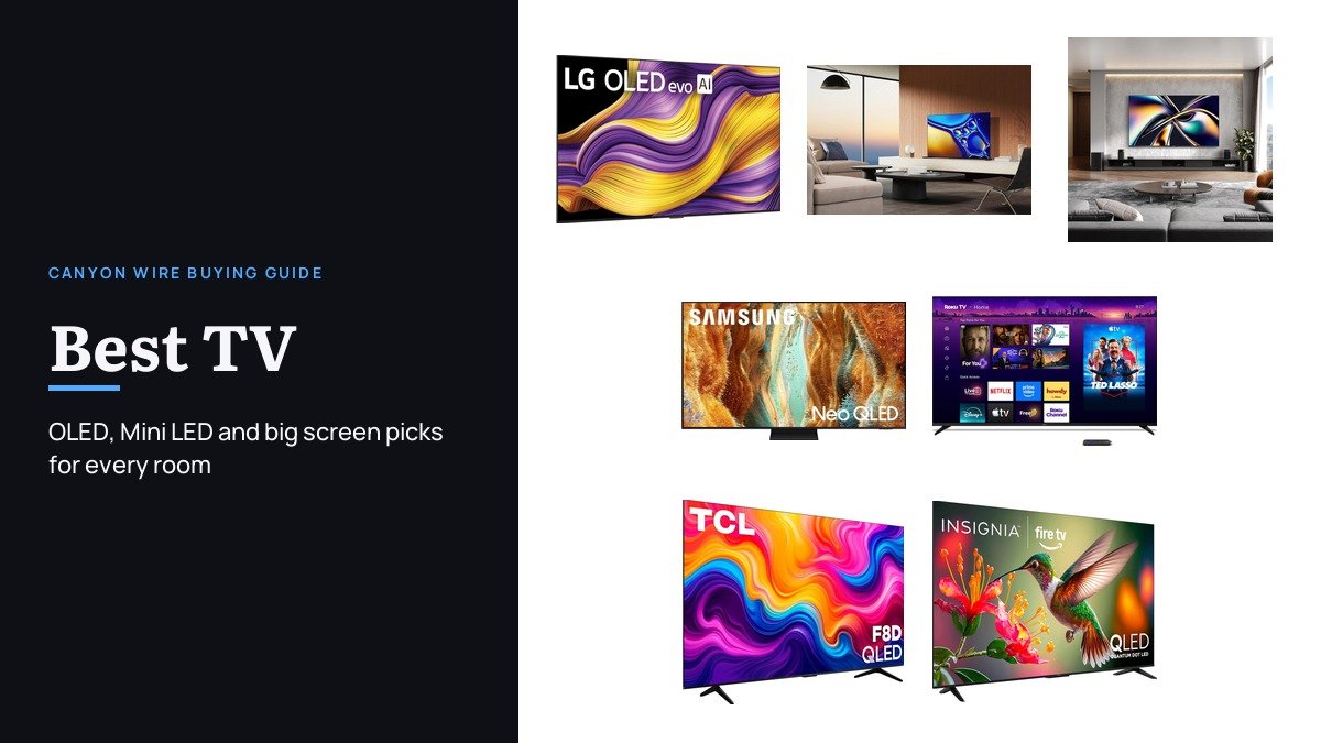 Best TV: 7 Sets Compared on Gaming, Platform and Size
