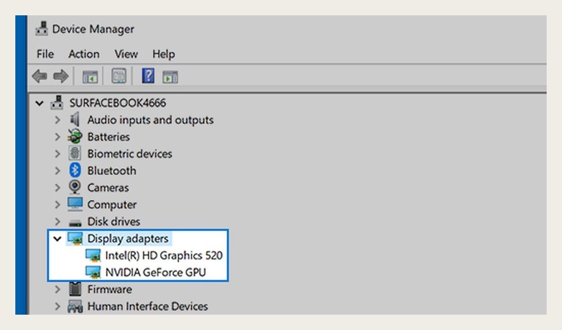 Windows Device Manager with the Display adapters category expanded to show the graphics card