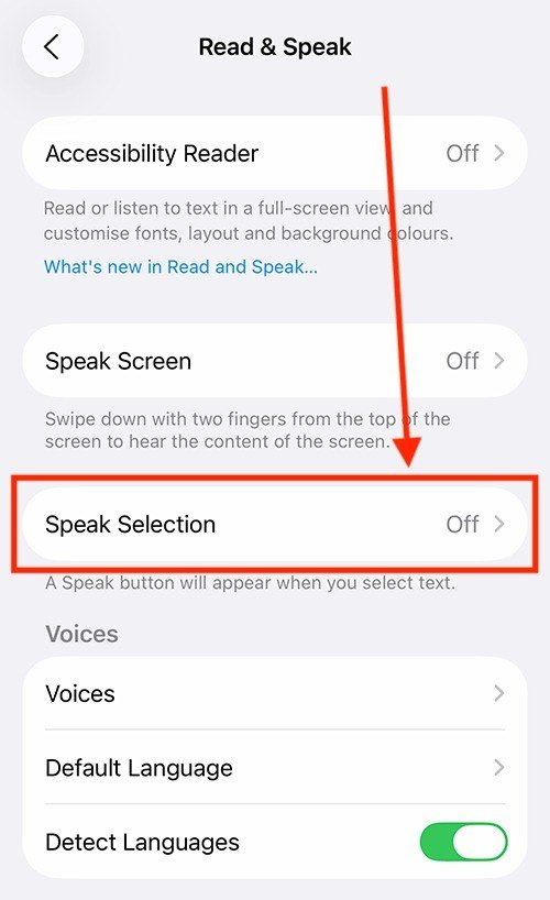 iPhone Read and Speak settings with Speak Selection highlighted