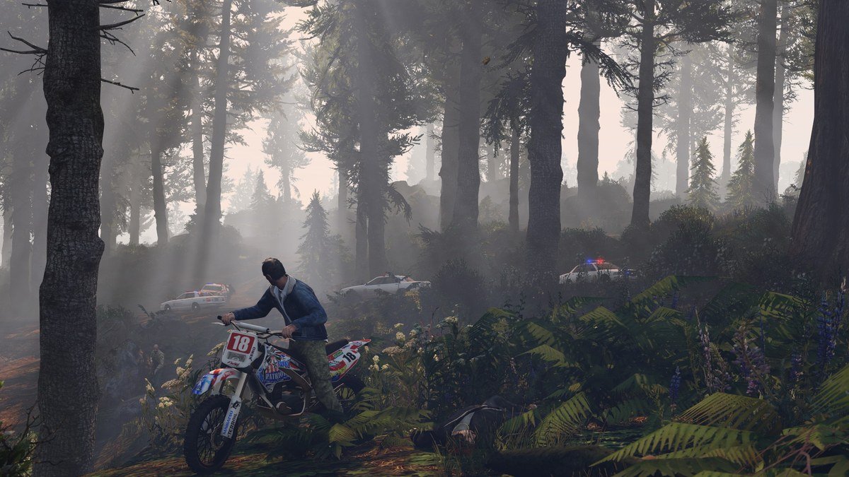 Rider on a dirt bike in a misty pine forest in GTA 5