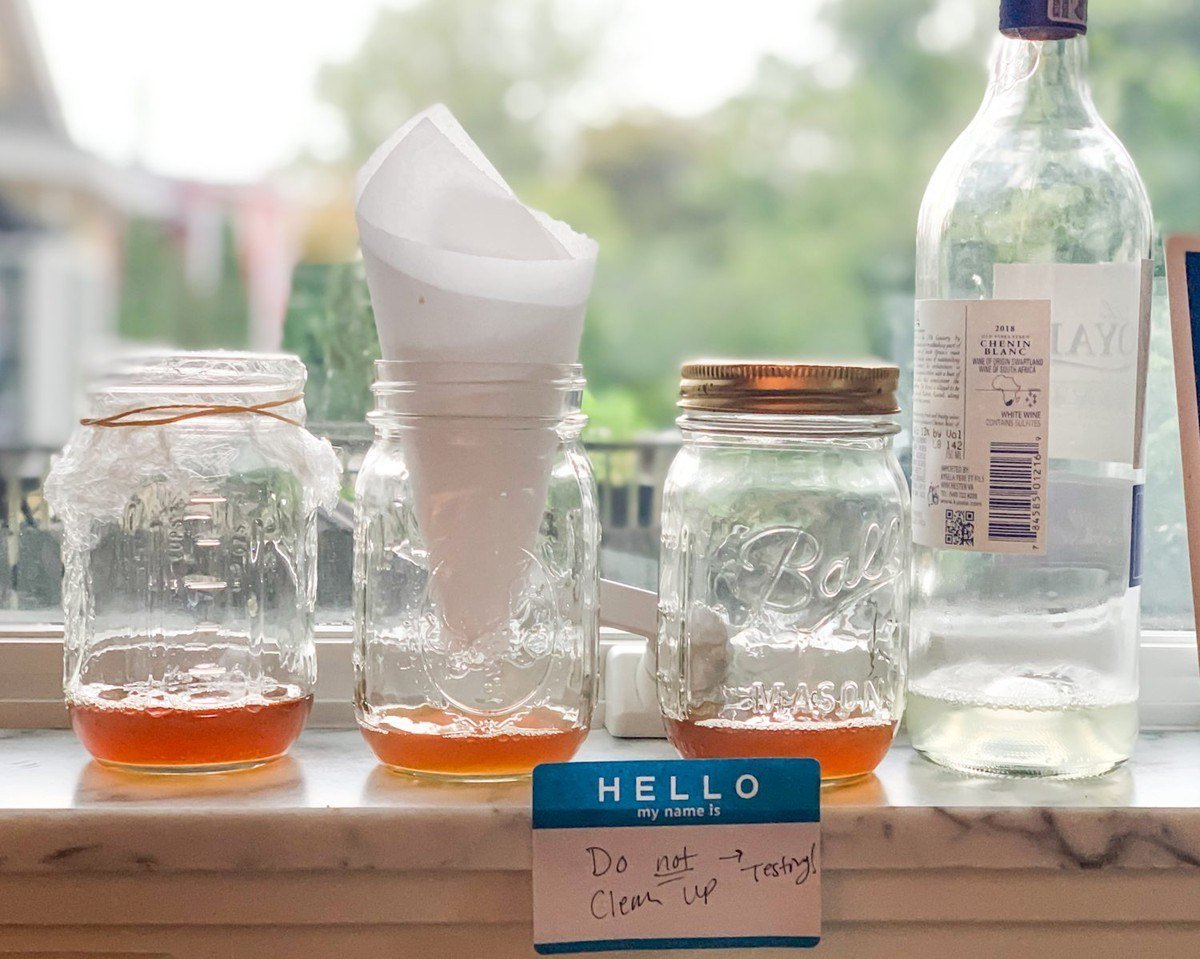 Four homemade fruit fly traps on a windowsill: a plastic-wrap jar, a paper-cone jar, a lidded jar and a wine bottle