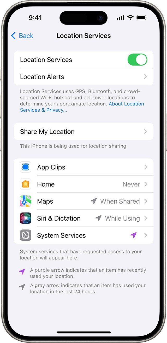 Location Services screen with Maps set to When Shared and System Services showing a purple arrow