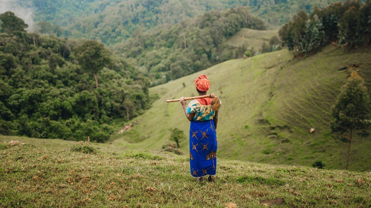 A woman in colorful clothing standing on a green hillside in Rwanda's Gishwati-Mukura forest area