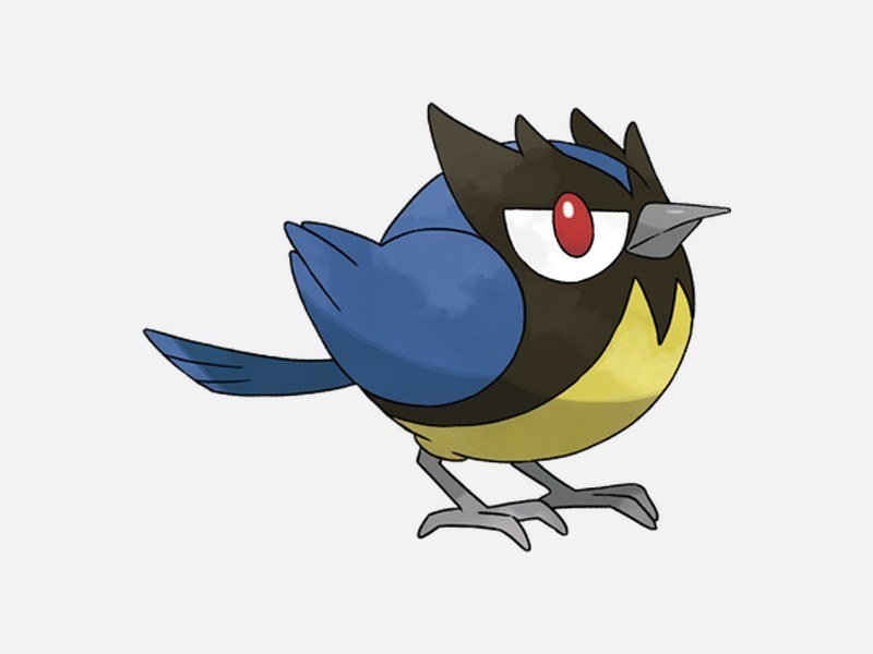 Official artwork of Rookidee, a Flying-type Pokémon