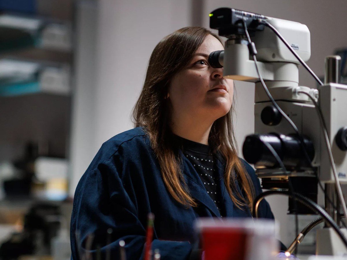 Koch scientist looking into a microscope in a laboratory